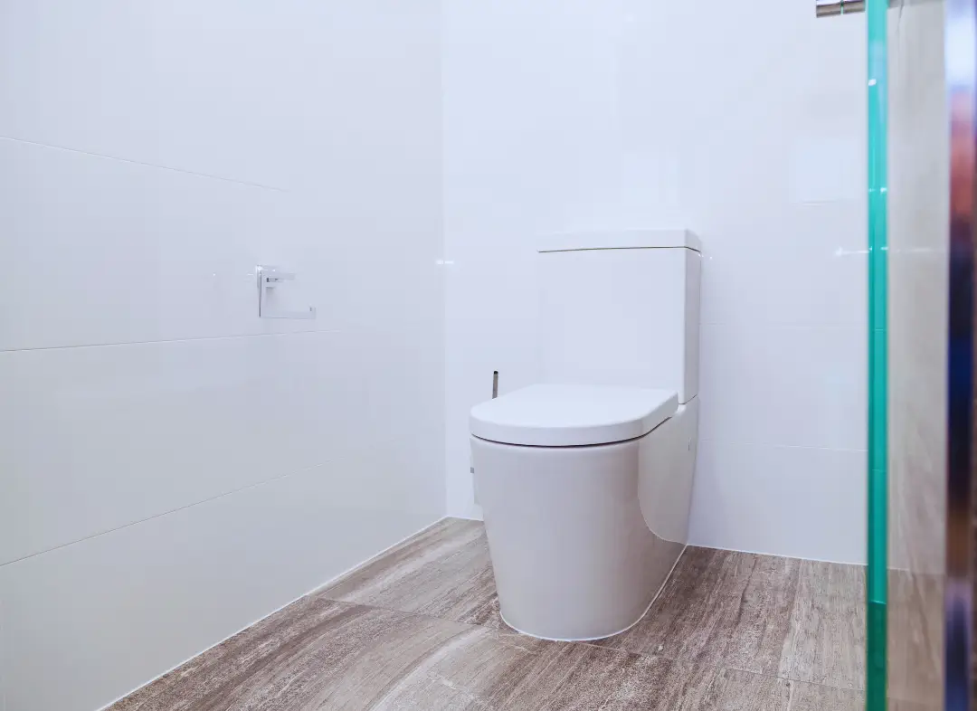 Remplacement de wc Argenton-sur-Creuse
